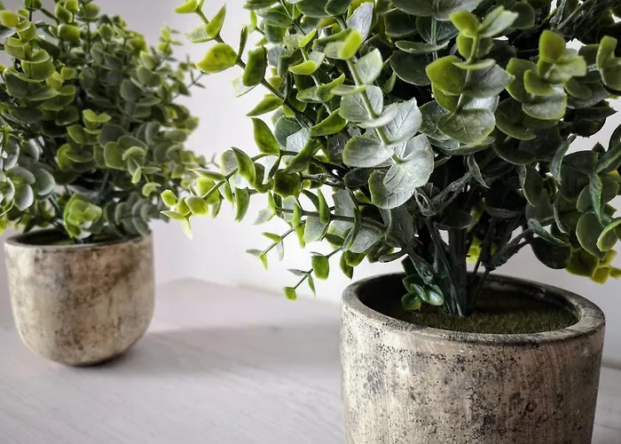 Club Playa Flores 101 Torremolinos